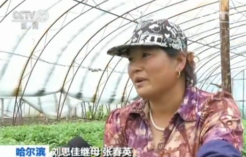 刘思佳继母张春英